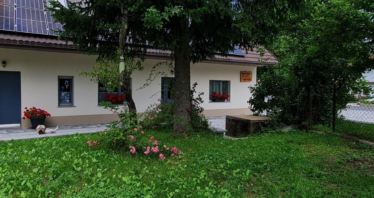 Nona Bb Bed & Breakfast Postojna Exterior photo